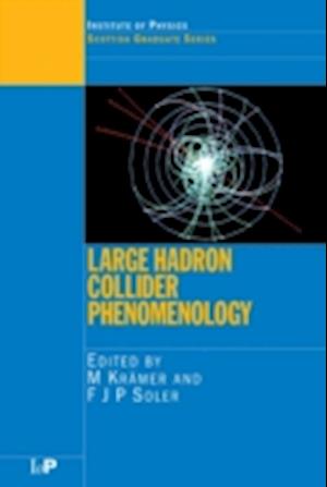 Large Hadron Collider Phenomenology