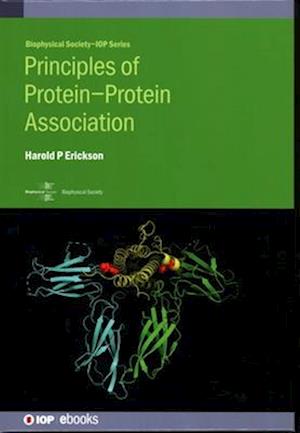 Principles of Protein–Protein Association