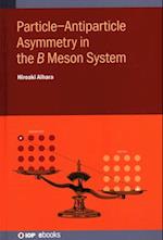 Particle–Antiparticle Asymmetry in the ?? Meson System