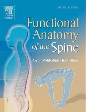 Functional Anatomy of the Spine