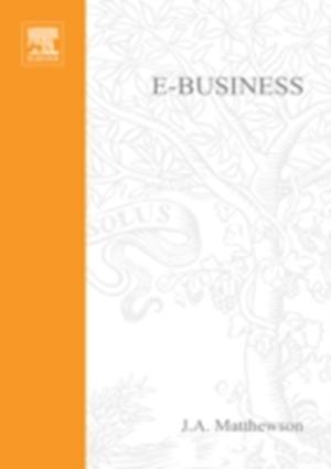 e-Business - A Jargon-Free Practical Guide