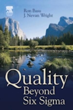 Quality Beyond Six Sigma