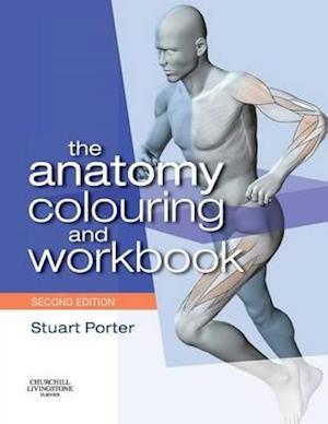 The Anatomy Colouring and Workbook