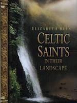 Celtic Saints in Their Landscape