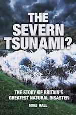 Severn Tsunami?