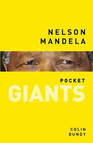 Nelson Mandela: pocket GIANTS