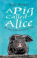 Pig Called Alice