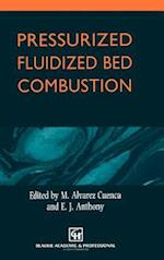 Pressurized Fluidized Bed Combustion