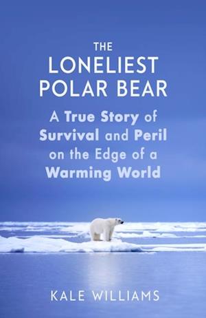 Loneliest Polar Bear