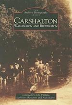 Carshalton, Wallington and Beddington