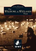 The Wildfowl Wetlands Trust, Slimbridge