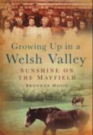 Growing Up in a Welsh Valley: Sunshine on the Mayfield