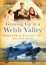 Growing Up in a Welsh Valley: Beneath a Valley Sky