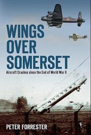 Wings Over Somerset