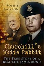 Churchill's White Rabbit