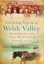 Growing Up in a Welsh Valley: Beneath a Valley Sky