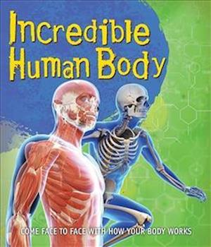 Fast Facts! Incredible Human Body