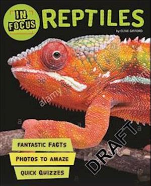 In Focus: Reptiles