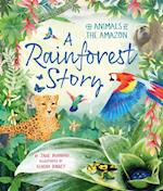 Rainforest Story