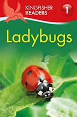 Kingfisher Readers: Ladybirds (Level 1: Beginning to Read)