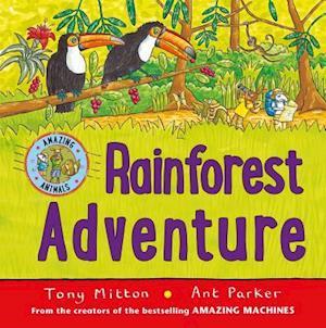 Rainforest Adventure