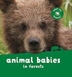 Animal Babies in Forests