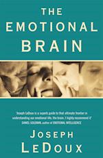 The Emotional Brain