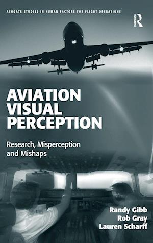 Aviation Visual Perception