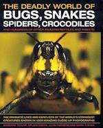 The Deadly World of Bugs, Snakes, Spiders, Crocodiles and Hundreds of Other Amazing Reptiles and Insects