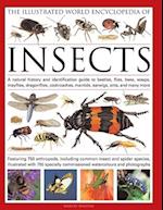 The Illustrated World Encyclopaedia of Insects