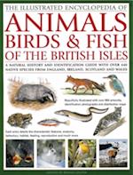 Illustrated Encyclopedia of Animals, Birds and Fish of the British Isles