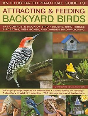 Backyard Birds III