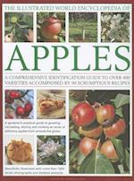 Illustrated World Encyclopedia of Apples