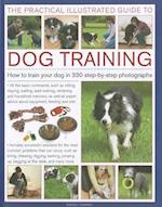 Practical Illustrated Guide to Dog Training