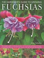 Gardener's Guide to Growing Fuchsias