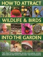How to Attract Wildlife & Birds into the Garden