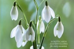 Card Box of 20 Notecards and Envelopes: Snowdrop