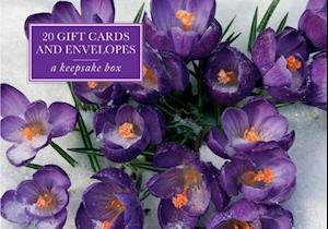 Tin Box of 20 Gift Cards and Envelopes: Crocus