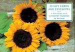 Tin Box of 20 Gift Cards and Envelopes: Country Flowers in Bloom