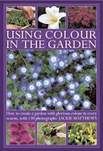 Using Colour In The Gardens