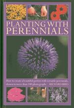 Planting with Perennials