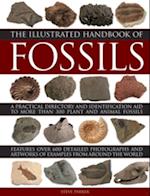 Illustrated Handbook of Fossils