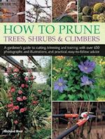 How to Prune Trees, Shrubs & Climbers