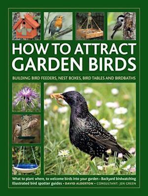 How to Attract Garden Birds