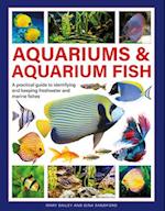Aquariums & Aquarium Fish