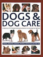 Dogs & Dog Care