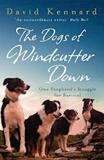 The Dogs of Windcutter Down