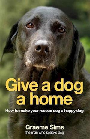 Give a Dog a Home