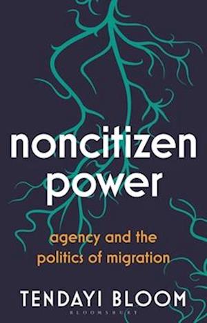 Noncitizen Power: Agency and the Politics of Migration