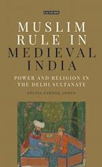 Muslim Rule in Medieval India: Power and Religion in the Delhi Sultanate 